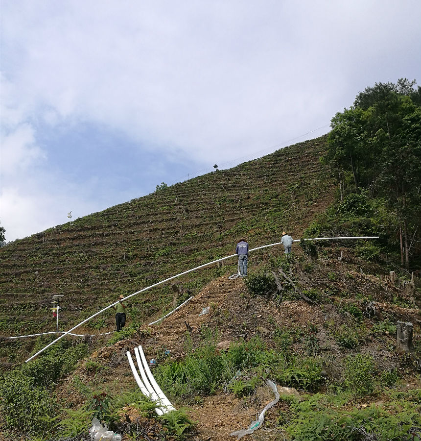 茶园江南真人平台(科技)有限公司管道铺设